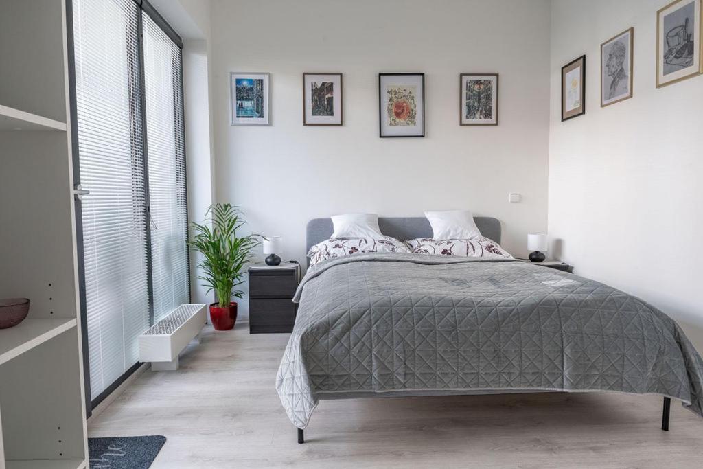 Apartment Nove Sady Olomouc